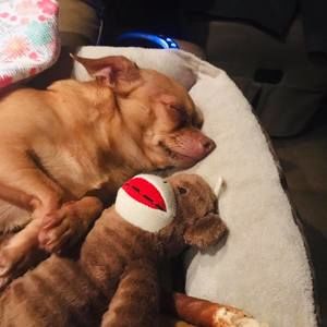 Meet your Posher, Wanda